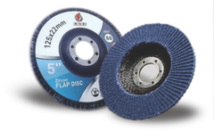 Flap Discs