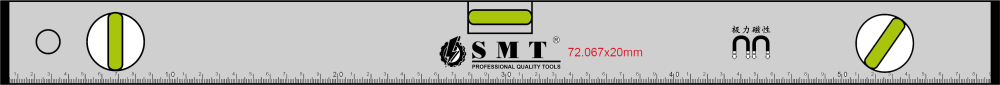 Level Measurement (SMT-351)